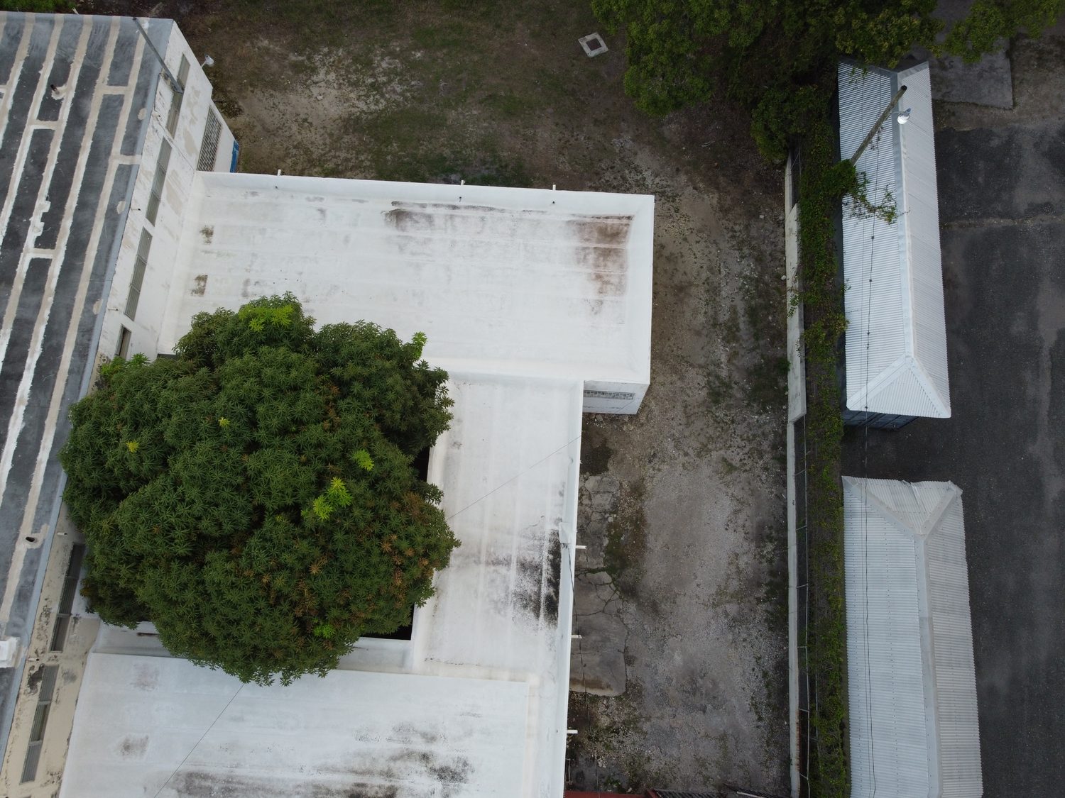 Aerial view of city rooftops